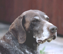 Cindie in hohem Alter