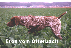 Eros vom Otterbach