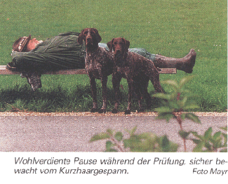 Aus der "Pirsch", Heft 25/1995, Michael Hammerer mit Pillie und Plinie vom Otterbach bei der IKP