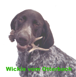 Wickie vom Otterbach als "Baby" mit Fundstck